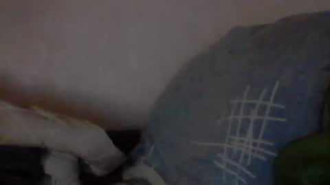 cutekattie online show from 9, 1, 2025