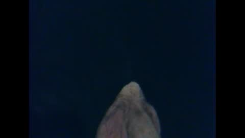 CutieBoy online show from 26, 10, 2025