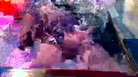 Snapshot of dabaatendae chatting on 2, 2, 2025 dabaatendae online show from 2, 2, 2025