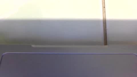 dada0813 online show from 28, 2, 2026