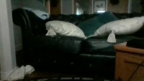 cumslutangel online show from 17, 9, 2025