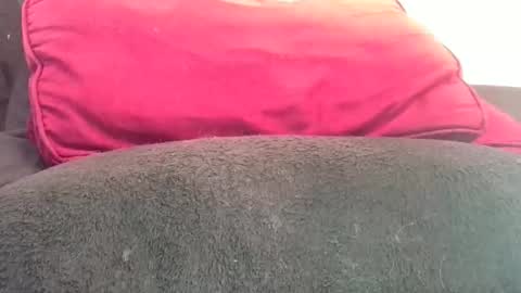 daddyy008 online show from 7, 11, 2025