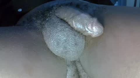 Snapshot of dadyschlong chatting on 17, 7, 2026 GIANT Lamar 72 ft tall with a 10 inches BBC hard quick cumshot in private show lets go online show from 17, 7, 2026