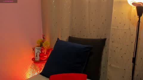 dafnemel online show from 1, 4, 2026