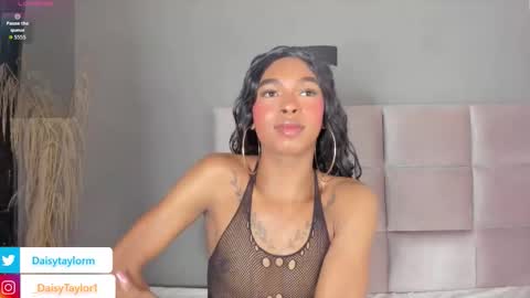 Daisy online show from 3, 10, 2025