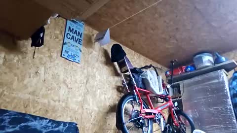 dave online show from 10, 3, 2026