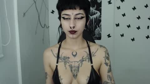 dakota online show from 25, 1, 2025