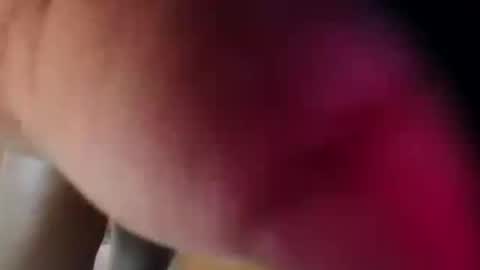 dakotaholand online show from 5, 12, 2025