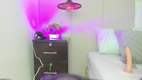 D A L I L A online show from 9, 2, 2026