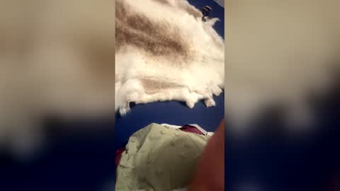 damontsi online show from 22, 3, 2026