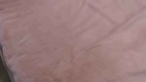 Snapshot of danadjuani chatting on 11, 1, 2025 Danna Lovense is activeThere are legends that in this room all your wishes can come true Private is Open online show from 11, 1, 2025