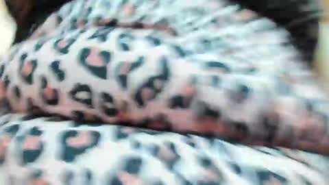 danajhonson online show from 16, 4, 2026