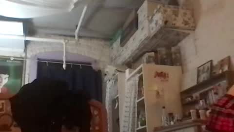 Your submissive patient online show from 4, 12, 2024