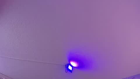 Daniela online show from 11, 3, 2025