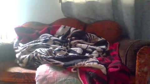 dani9821569006 online show from 25, 3, 2026