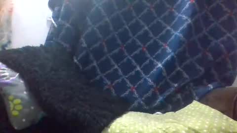 dani9821569006 online show from 29, 3, 2026