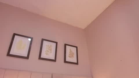 Hi I am Dani online show from 5, 5, 2026