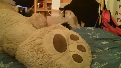 DANIELA online show from 17, 3, 2026