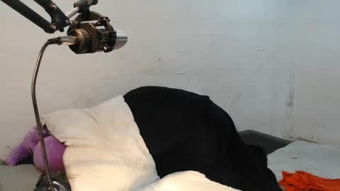 danielitopapii online show from 13, 12, 2024