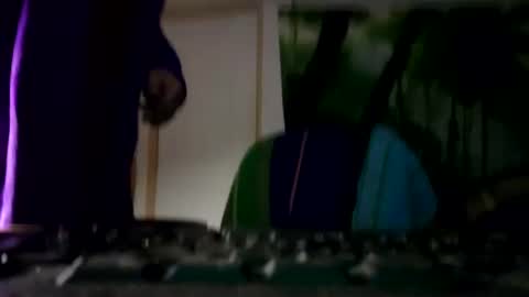 danimal5000 online show from 26, 1, 2025