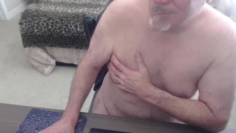 Danny bear online show from 31, 12, 2024