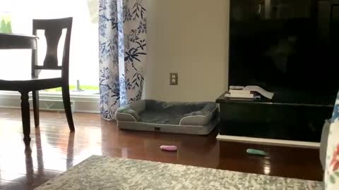 dannyboy621 online show from 25, 10, 2025