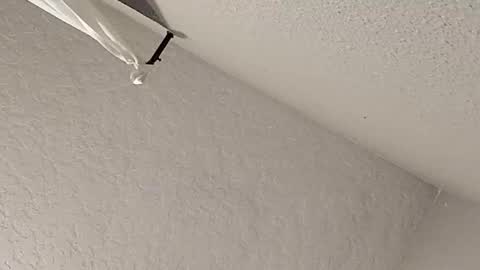 dano9696 online show from 23, 2, 2026