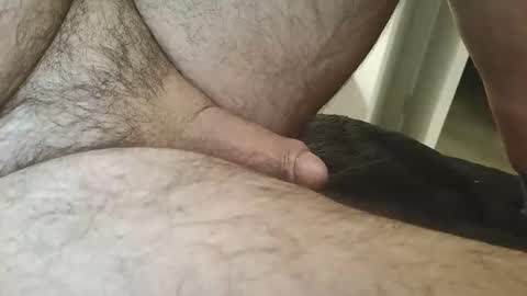 dapppper online show from 22, 2, 2026