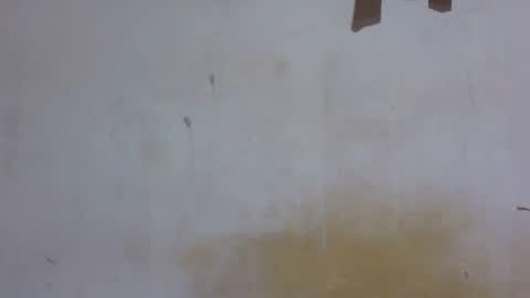 dark_princess1 online show from 4, 11, 2025