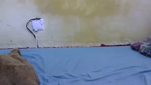 dark_princess1 online show from 13, 2, 2026