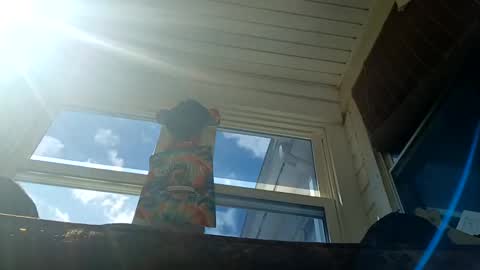 darkbeauty1602 online show from 12, 9, 2025