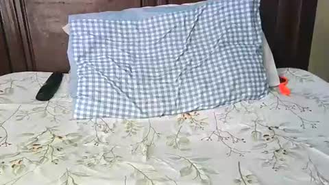 darkskinebony online show from 7, 2, 2026