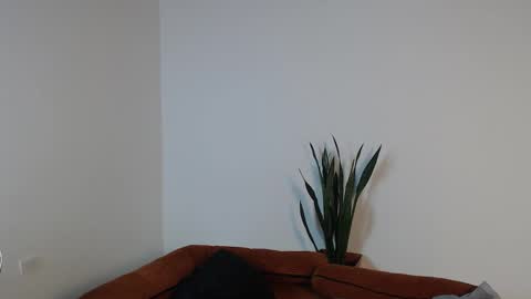 darrencolleen online show from 1, 3, 2026