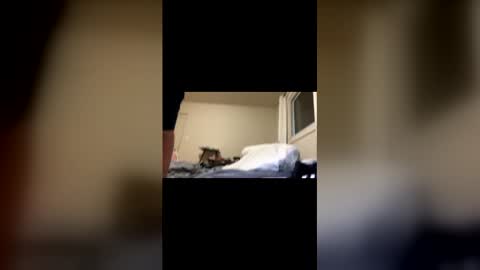 Exhibit A online show from 22, 2, 2026