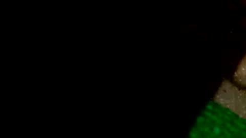 david1982yesyes online show from 16, 4, 2026