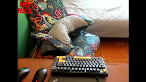 David online show from 21, 3, 2026