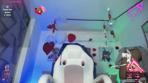 David online show from 17, 2, 2026