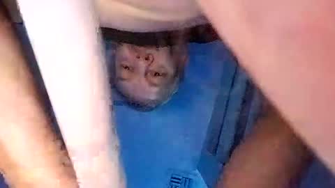 david_stone1969 online show from 8, 3, 2025