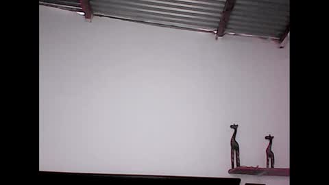 davidstuart online show from 20, 1, 2025