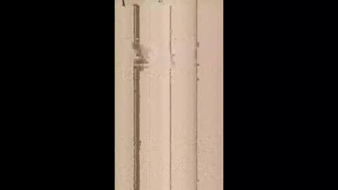 davidjoedirt1967597390 online show from 21, 4, 2026