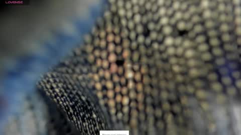 I am Dayanna  tecca online show from 15, 12, 2025