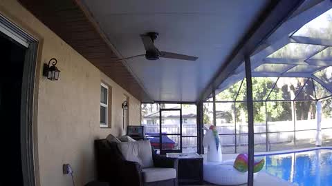 Dazey online show from 7, 1, 2026