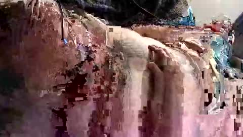 decoyx5o5 online show from 9, 1, 2025