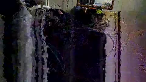 decoyx5o5 online show from 6, 2, 2025