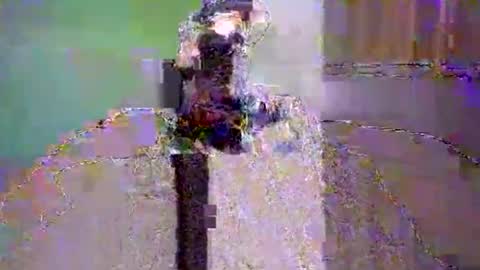 Snapshot of dee4dayz19 chatting on 1, 6, 2026 Dee4dayz online show from 1, 6, 2026