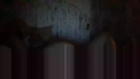 deepdiveme online show from 15, 4, 2026