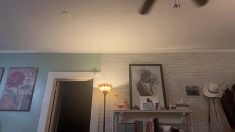 Tori online show from 14, 12, 2025