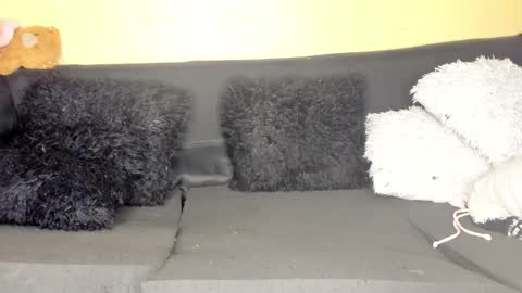 deli_la online show from 28, 3, 2026