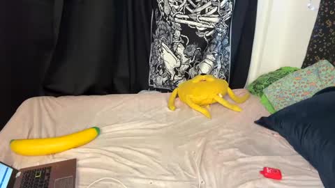 TankinBody online show from 11, 12, 2024