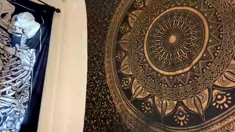 TankinBody online show from 26, 1, 2025